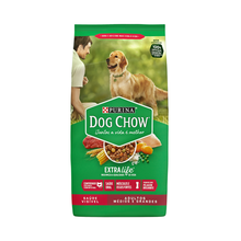 Ração Para Cães Adultos Médios e Grandes Dog Chow 10,1kg