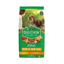 Ração Para Cães Adultos Pequenos Dog Chow 10,1kg