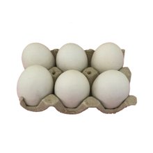 Ovos Brancos Grandes Brambilla Com 6 Unidades